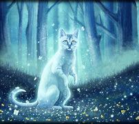 Image result for Cat Sees Ghost