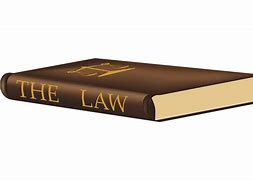 Image result for Lawyer Working