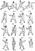 Image result for 5 Styles of Kung Fu