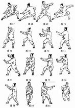 Image result for Fu Style Tai Chi