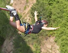 Image result for Bungee