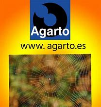 Image result for agarto