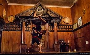 Image result for Kerala Martial Arts Show
