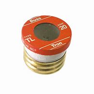 Image result for 20 Amp Buss Fuse