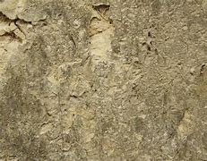 Image result for Muddy Drywall Texture