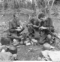 Image result for Viet Cong Bunker