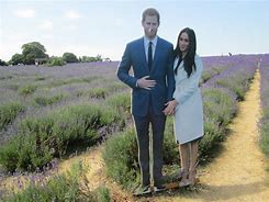 Image result for Prince Harry and Meghan Party