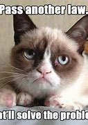 Image result for Grumpy Cat Face Meme