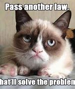 Image result for Grumpy Cat Fun Meme
