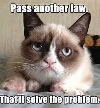 Image result for Grumpy Cat Memes