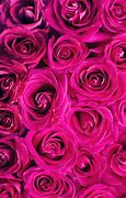 Image result for Hot Pink Banner Aesthetic