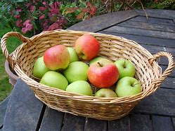 Image result for Apples in Basket