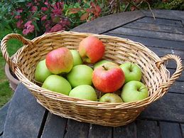 Image result for Basket of Apple's Image