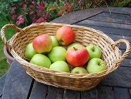 Image result for A Basket Full of Apple Fruit