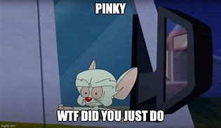 Image result for Pinky and the Brain Meme Tuesday