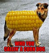 Image result for Corny Pun Memes