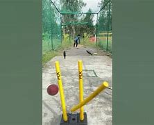 Image result for Crazy Wicket