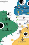 Image result for Timeline of Cell Colourful