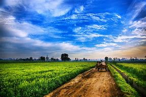 Image result for Agribusiness Pic