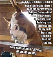Image result for Horse Funny Animal Memes