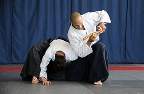 Image result for Martial Arts Aikido Techniques