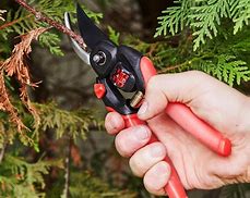 Image result for Pruners Types