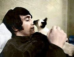 Image result for John Lennon Cat