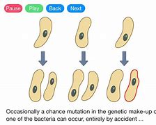 Image result for Mutation for Kids