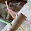 Image result for DIY Cat Toys