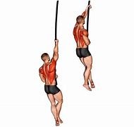 Image result for Rope Climbing Exercise