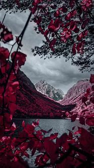 Image result for iPhone Wallpaper Red Laptop4k