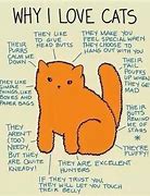 Image result for Trippy Cats Tumblr