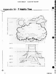 Image result for 7 Habits Tree Diagram