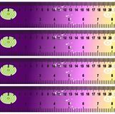 Image result for Free Printable 12-Inch Ruler Template