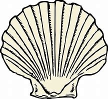 Image result for Scallop Shell Free Clip Art