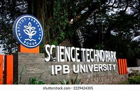 Image result for Virtual Background IPB