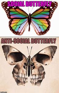 Image result for Butterfly Meme