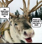Image result for Reindeer Meme