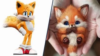 Image result for Sonic as an Actual Hedgehog
