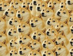 Image result for Doge Meme Computer Wallpaper