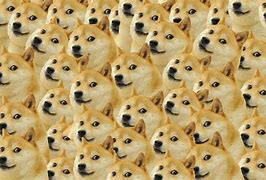 Image result for Weird Doge Meme