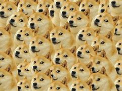 Image result for Doge Wallpaper Computer