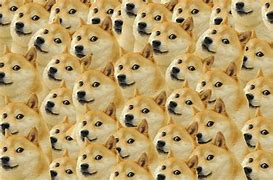 Image result for Doge Computer Meme Template