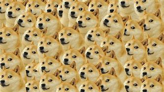 Image result for Doge Meme so Good