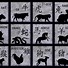 Image result for Chinese Zodiac Order