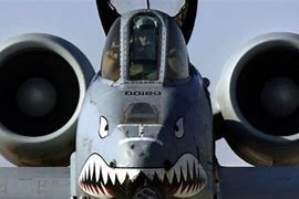 Image result for A-10 Warthog Face