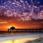 Image result for Background of a Beach