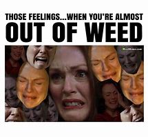 Image result for Cannabis Memes