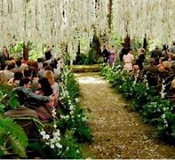 Image result for Twilight Breaking Dawn Bella Prepares for Edward