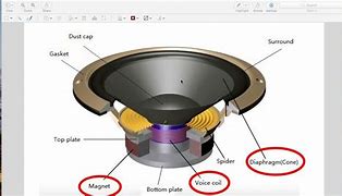 Image result for Inside a Speaker Cone